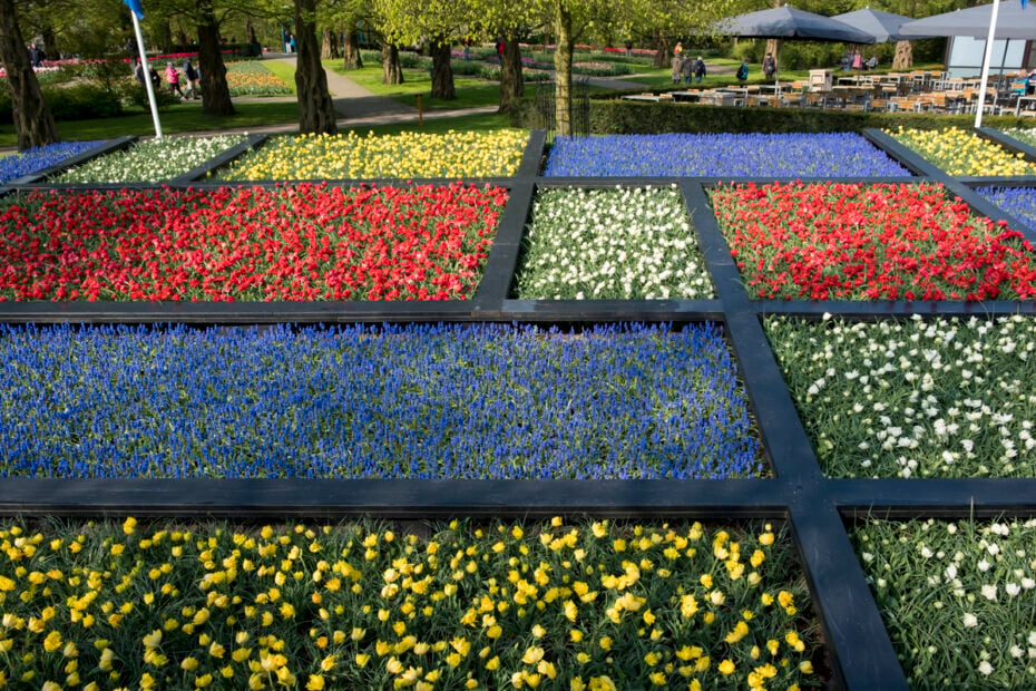 Keukenhof Tulip Garden: Dutch Design