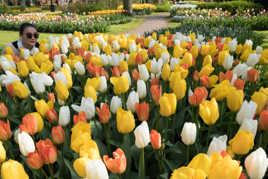 A photography tour of Keukenhof tulip gardens. Keukenhof is the most beautiful garden in the world, with 7 million bulbs and 800 varieties of tulips.