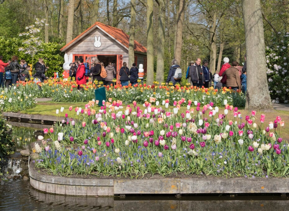 Miffy's House at Keukenhof's Tulip Gardens in Lisse, The Netherlands.