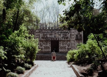 mexico city museums open